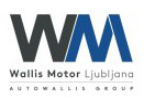 Wallis motor